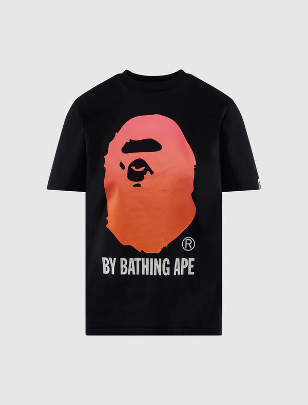 WOMEN'S GRADATION APE TEE